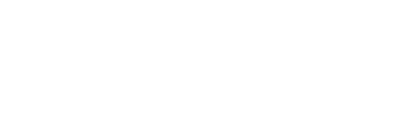 adeptaudio
